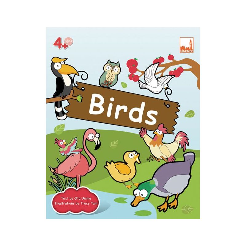 Flashcards – Birds