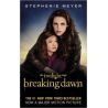 Breaking Dawn – Twilight Series