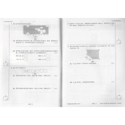 Pra-UPSR模拟试卷 数学 4