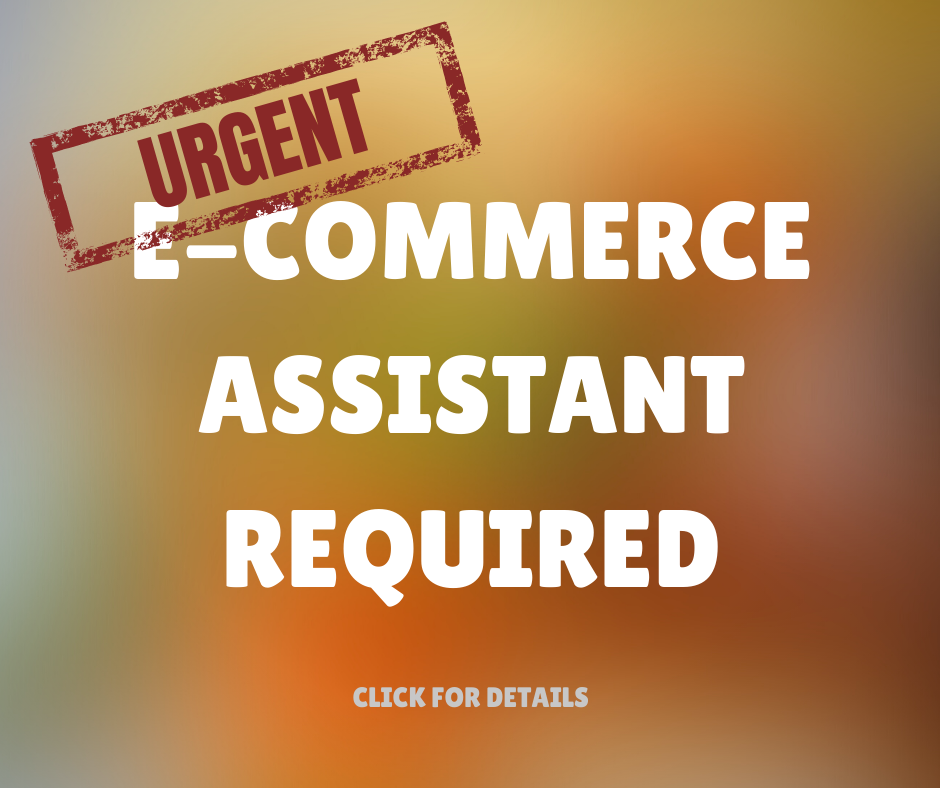 ecommerce assistant wanted